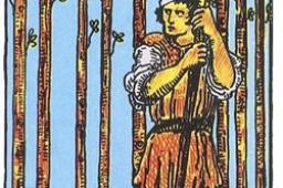 塔罗牌权杖九正位事业财运发展如何？权杖九正位事业财富结果