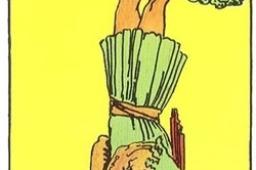 星币侍从逆位他想复合吗？星币侍从逆位复合有望吗？