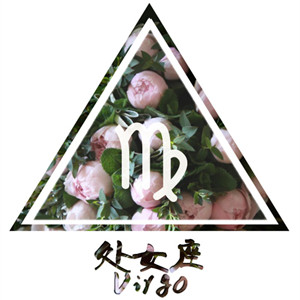 文章详情图片