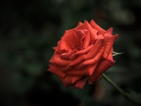 耀璋·风水矛盾论(二)