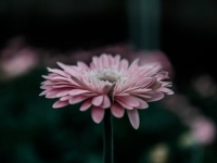 耀璋·风水矛盾论(三)