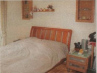 大门蓝地毡趋吉挡煞