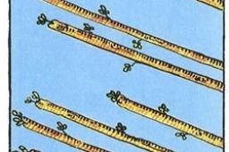 权杖八逆位他想复合吗？权杖八逆位复合有望吗？