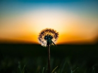 导致风水变差的几大因素