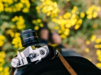 2018年丁巳月风水(2018年5月5日-6月5日)