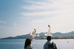 单身女子独居风水秘笈