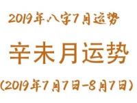2019年八字辛未月运势(2019年7月7日-8月7日)