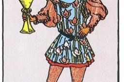 圣杯侍从正位他想复合吗？圣杯侍从正位复合有望吗？