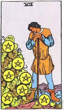 塔罗牌星币七正位与逆位的含义解读-Seven of Pentacles