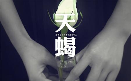 文章详情图片