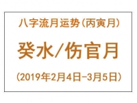 2019年八字丙寅月运势：癸水/伤官月