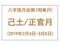2019年八字丙寅月运势：己土/正官月