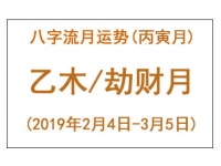 2019年八字丙寅月运势：乙木/劫财月