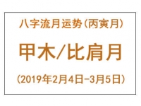 2019年八字丙寅月运势：甲木/比肩月