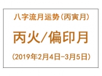 2019年八字丙寅月运势：丙火/偏印月