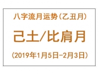 2019年八字乙丑月运势：己土/比肩月