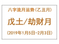 2019年八字乙丑月运势：戊土/劫财月