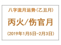 2019年八字乙丑月运势：丙火/伤官月
