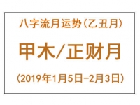 2019年八字乙丑月运势：甲木/正财月