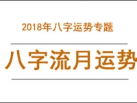 [专题]2019年八字流月运势