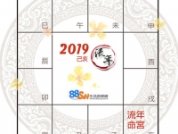 许耀焜紫微精论2019己亥年总运势解析