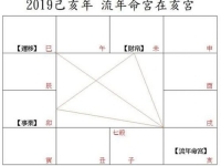 2019年紫微流年运势如何？