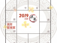 2019年紫微斗数看流年事业运