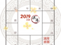 紫微斗数看2019己亥年运势