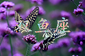 文章详情图片