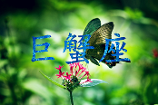文章详情图片