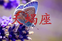 文章详情图片