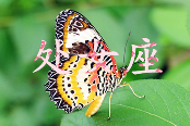 文章详情图片