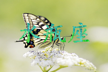 文章详情图片
