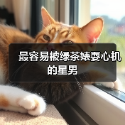 最容易被绿茶婊耍心机的星男(图4) 最容易被绿茶婊耍心机的星男(图4)