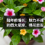 随年龄增长,魅力不减的四大星座,桃花愈发旺盛(图1) 随年龄增长,魅力不减的四大星座,桃花愈发旺盛(图1)