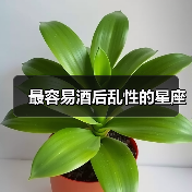 最容易酒后乱性的星座(图4) 最容易酒后乱性的星座(图4)