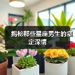 揭秘那些星座男生的坚定深情(图4) 揭秘那些星座男生的坚定深情(图4)