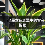 12星女在恋爱中的智商揭秘（图3）