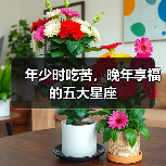 年少时吃苦，晚年享福的五大星座（图4）