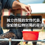 独立自强的女性代表,家庭地位特别高的星座女(图1) 独立自强的女性代表,家庭地位特别高的星座女(图1)