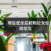 哪些星座最能和处女座做朋友（图2）