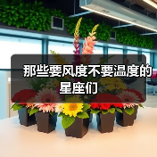 那些要风度不要温度的星座们（图1）