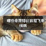 哪些命理特征容易飞来横祸 哪些命理特征容易飞来横祸