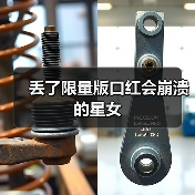 丢了限量版口红会崩溃的星女(图2) 丢了限量版口红会崩溃的星女(图2)