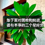 敢于面对困难和挑战，很有本事的三个星座女（图4）