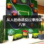 从人的命运反过来推其八字(图3) 从人的命运反过来推其八字(图3)