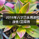 2018年八字己未月运势:庚金/正印月 2018年八字己未月运势:庚金/正印月