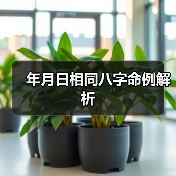 年月日相同八字命例解析(图3) 年月日相同八字命例解析(图3)