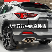 八字五行中的真性情(图4) 八字五行中的真性情(图4)