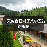 天狗食日对于八字五行的影响(图4) 天狗食日对于八字五行的影响(图4)